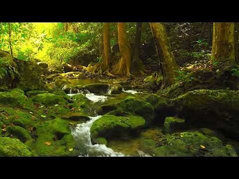 房間 流水聲